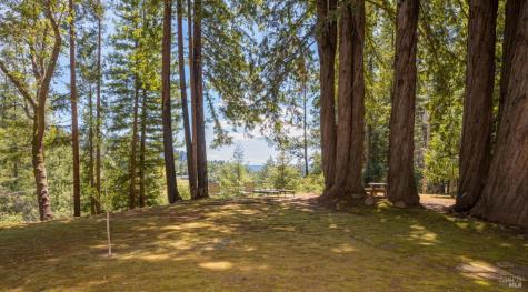 18900 Armstrong Woods Road Guerneville CA 95446