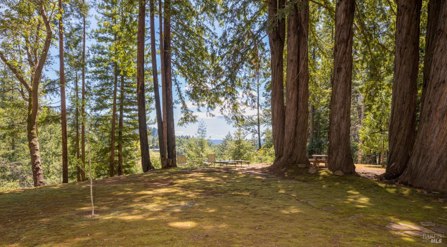18900 Armstrong Woods Road Guerneville CA 95446