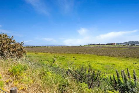 6 Egret View San Rafael CA 94901