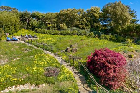 45 Mount Tiburon Road Tiburon CA 94920