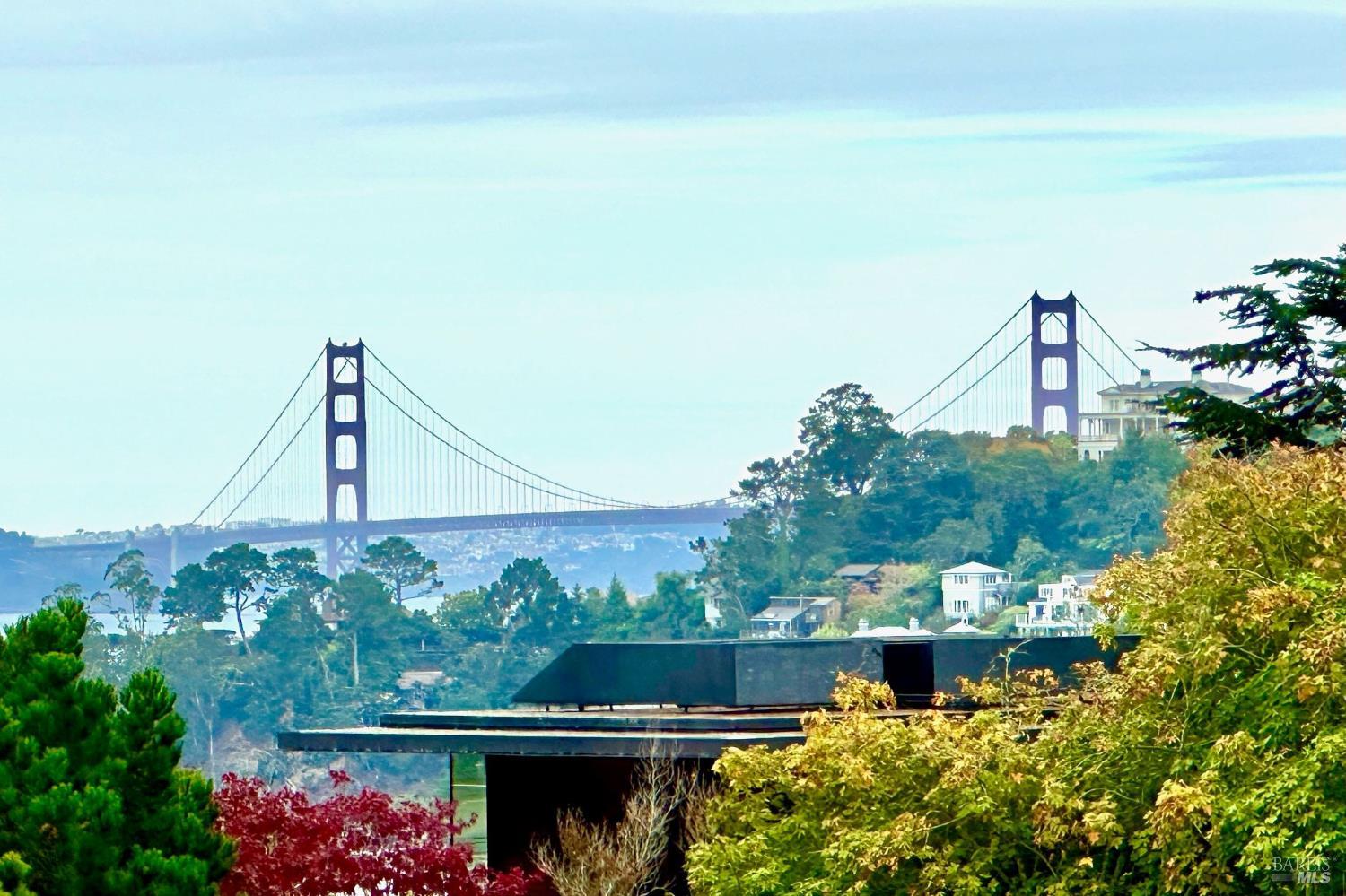 11 Saint Bernard Lane Tiburon CA 94920