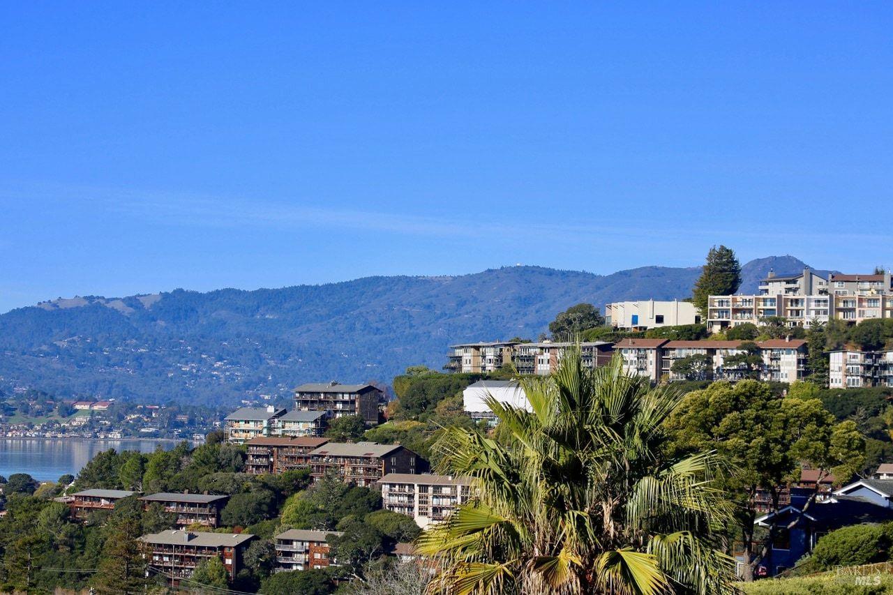 11 Saint Bernard Lane Tiburon CA 94920