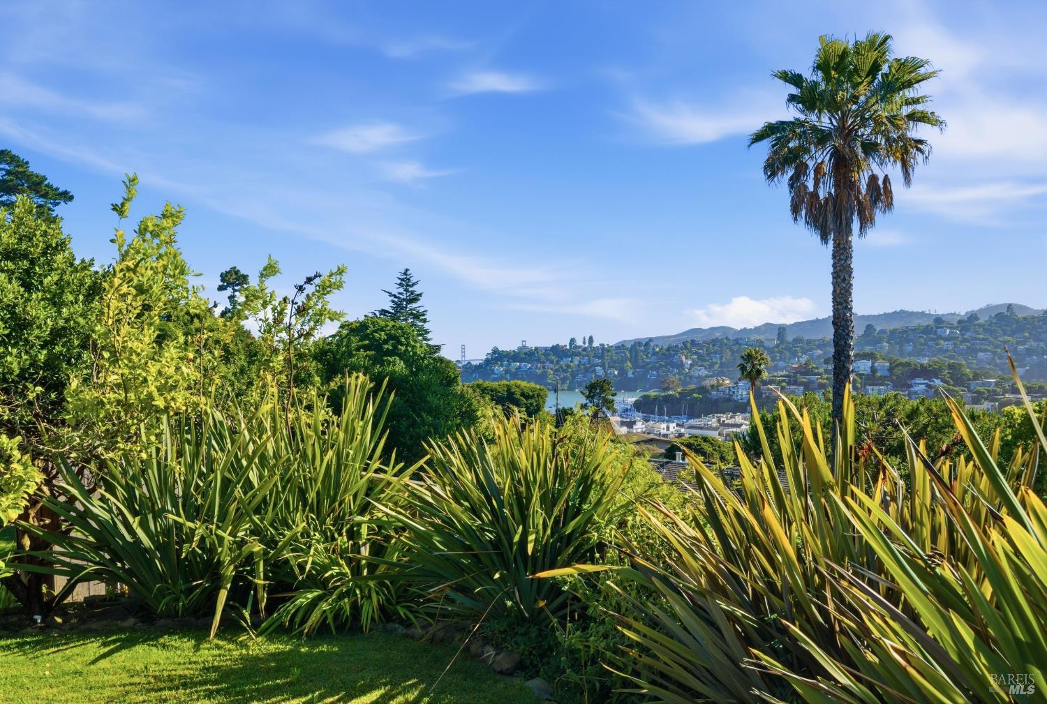 11 Saint Bernard Lane Tiburon CA 94920