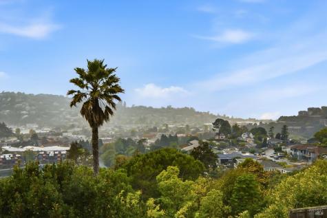11 Saint Bernard Lane Tiburon CA 94920