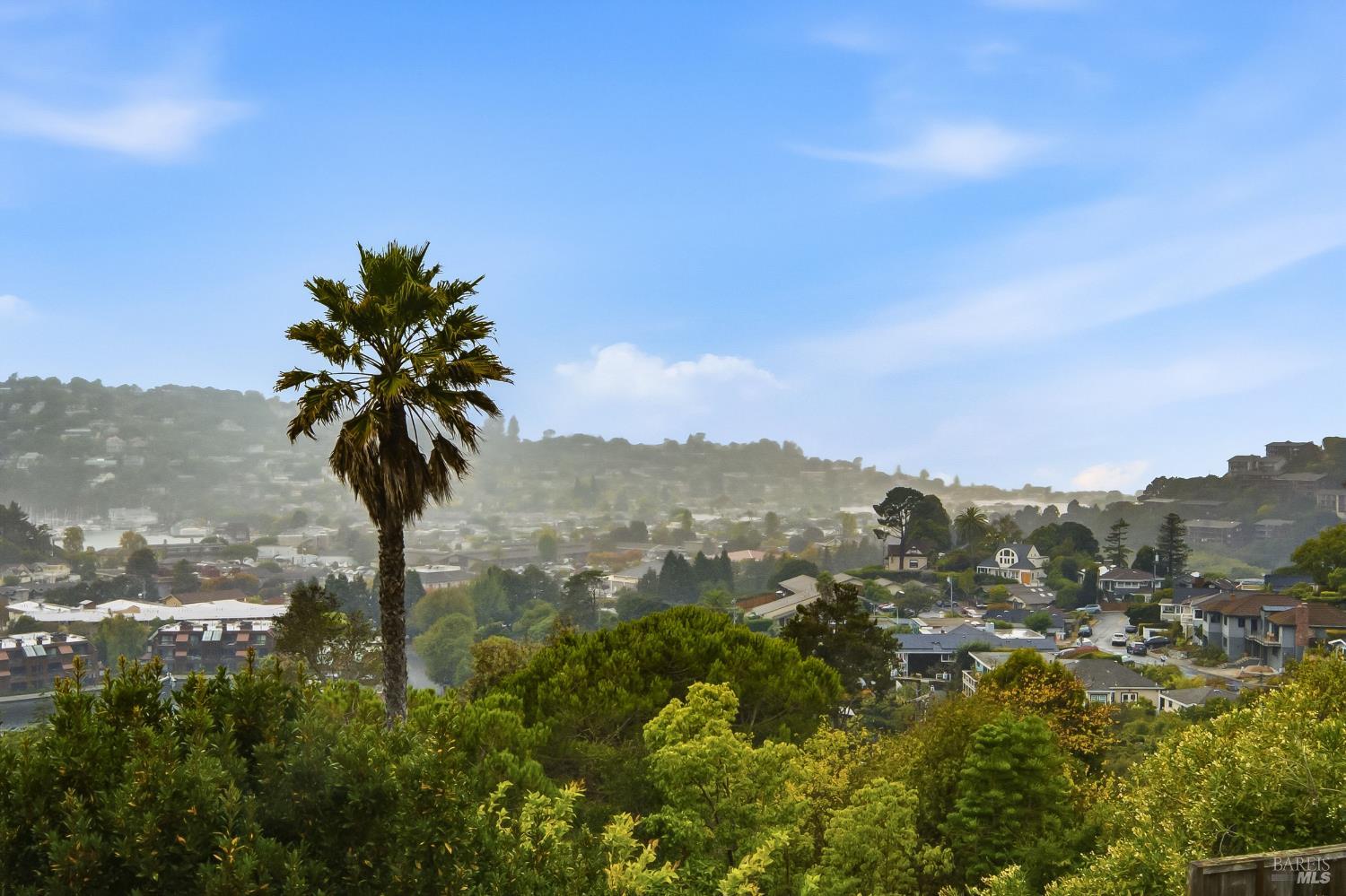 11 Saint Bernard Lane Tiburon CA 94920
