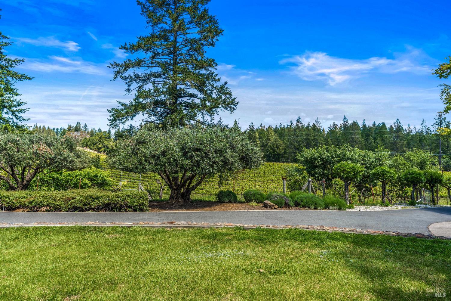625-629 Hill Road Angwin CA 94508