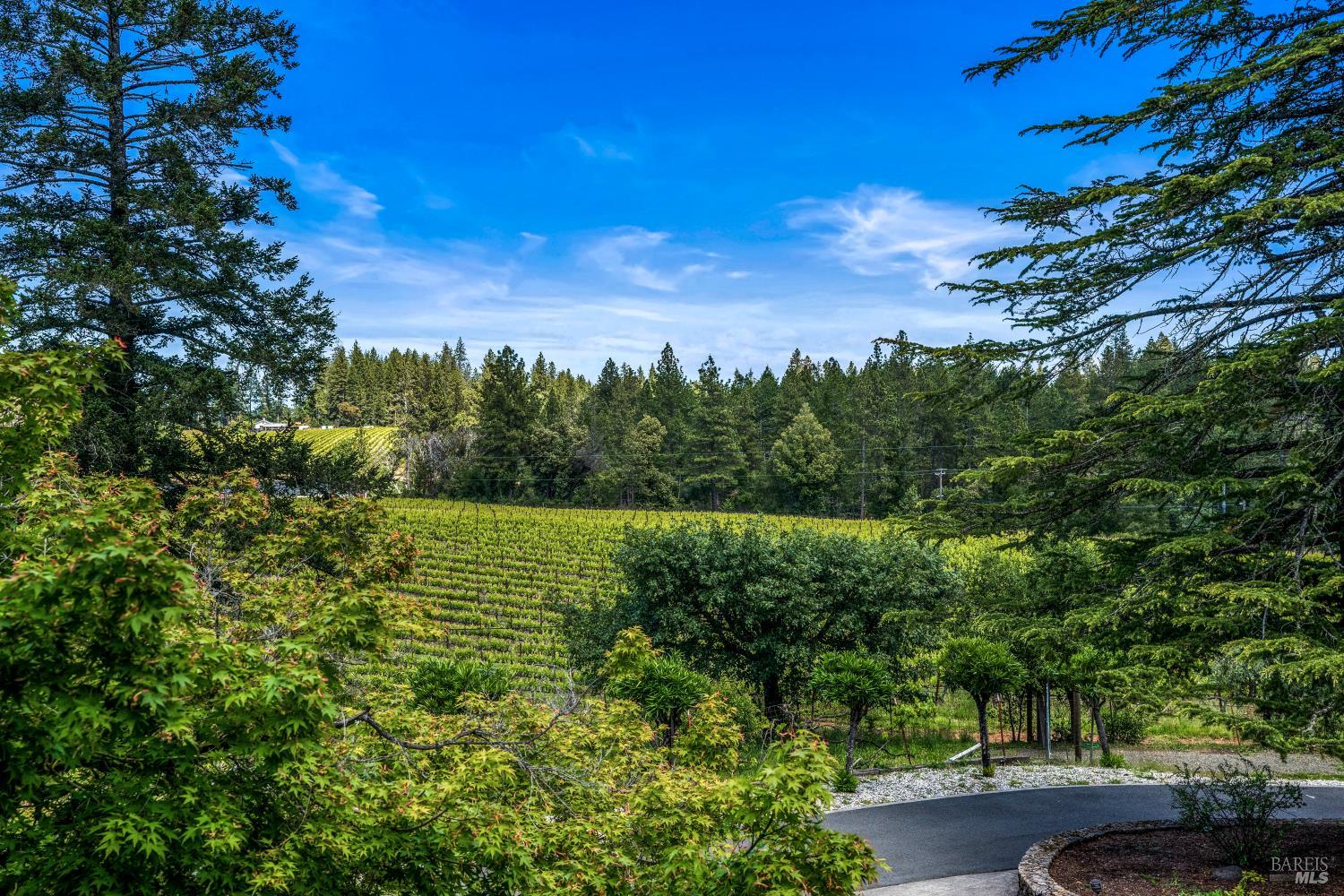625-629 Hill Road Angwin CA 94508