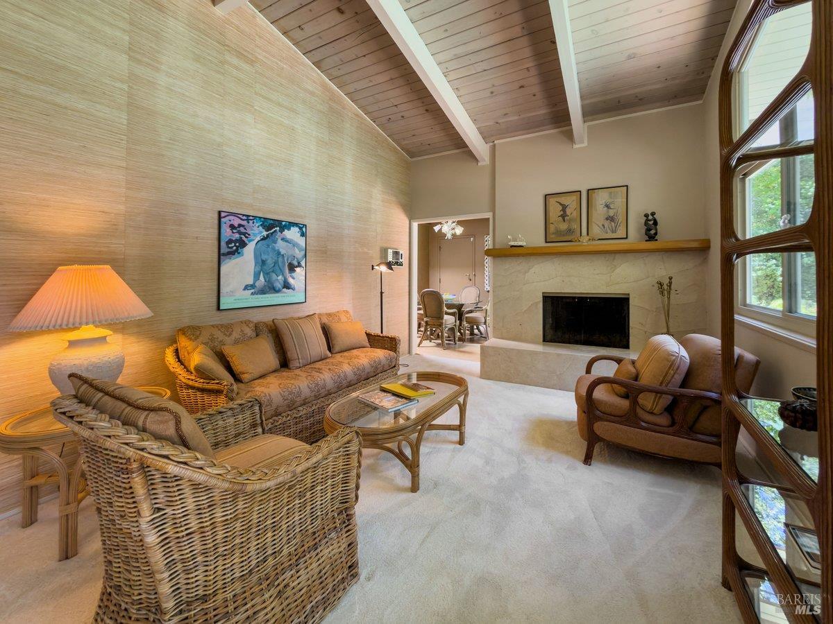 21 Dutch Valley Lane San Anselmo CA 94960