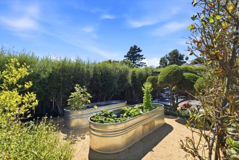 686 Hawthorne Drive Tiburon CA 94920