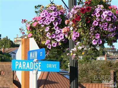 686 Hawthorne Drive Tiburon CA 94920