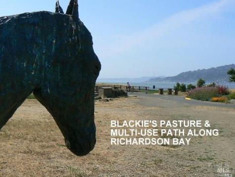 686 Hawthorne Drive Tiburon CA 94920