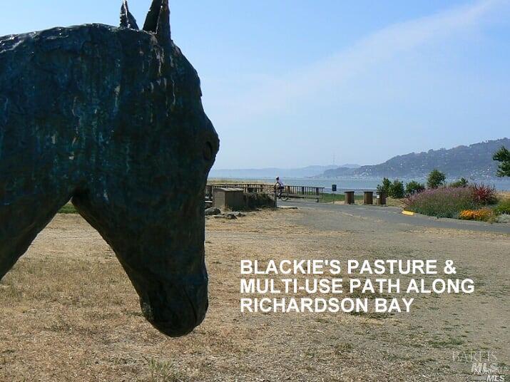 686 Hawthorne Drive Tiburon CA 94920