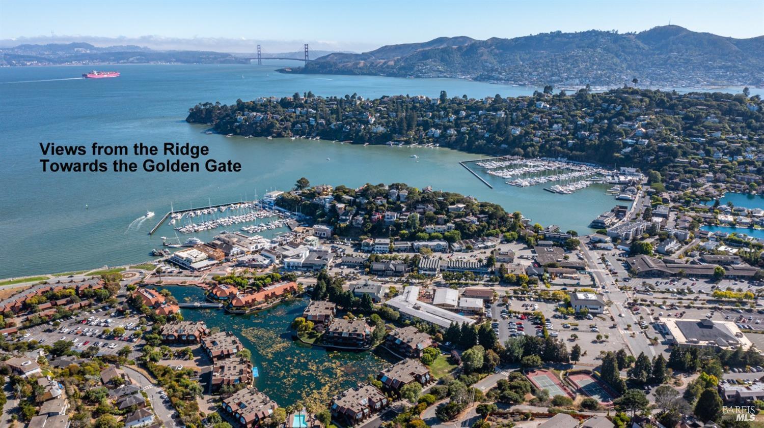 686 Hawthorne Drive Tiburon CA 94920