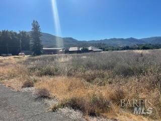 11727 Elk Mountain Road Upper Lake CA 94585
