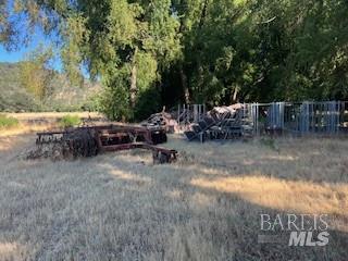 11727 Elk Mountain Road Upper Lake CA 94585