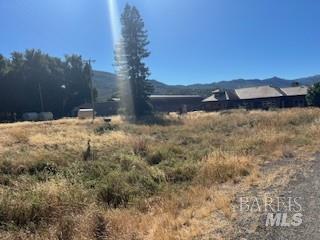 11727 Elk Mountain Road Upper Lake CA 94585
