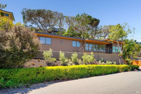 240 Richardson Drive Mill Valley CA 94941