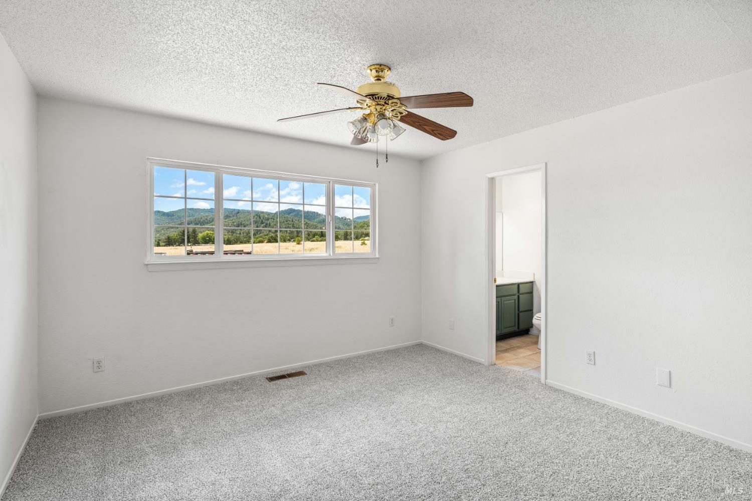 160 Gobalet Lane Ukiah CA 95482