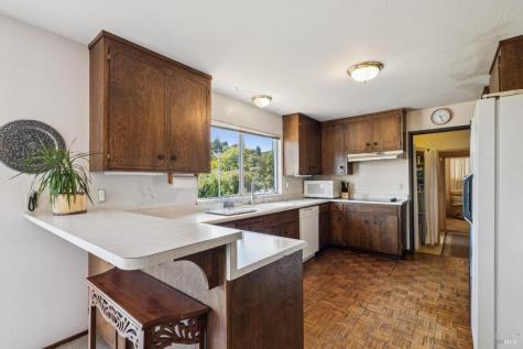 1 Bay Vista Court Mill Valley CA 94941