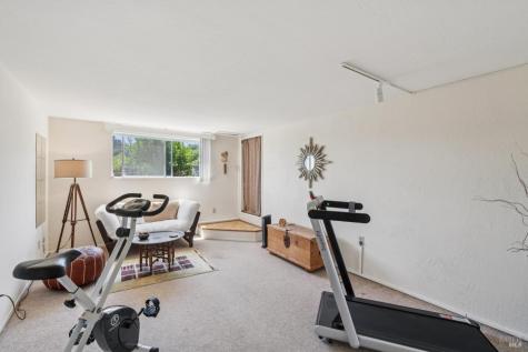 1 Bay Vista Court Mill Valley CA 94941