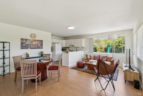 1 Bay Vista Court Mill Valley CA 94941