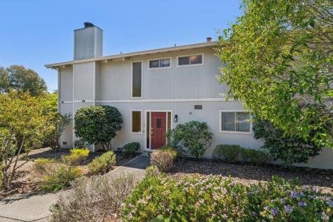 1 Bay Vista Court Mill Valley CA 94941