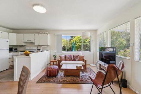 1 Bay Vista Court Mill Valley CA 94941
