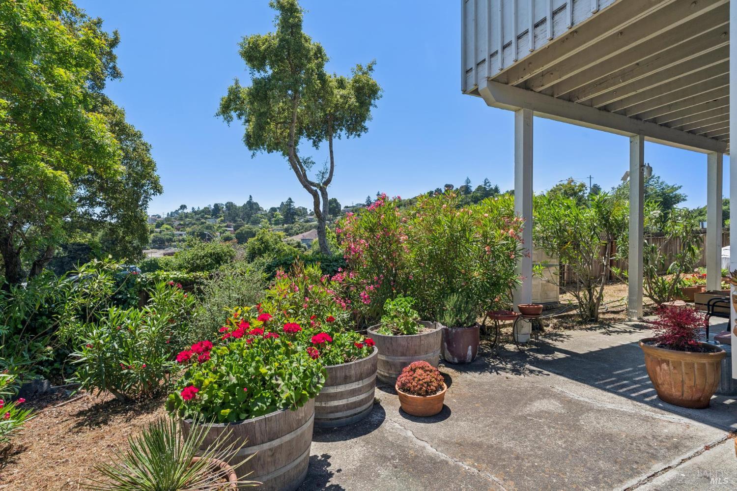 1 Bay Vista Court Mill Valley CA 94941
