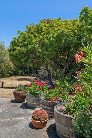 1 Bay Vista Court Mill Valley CA 94941