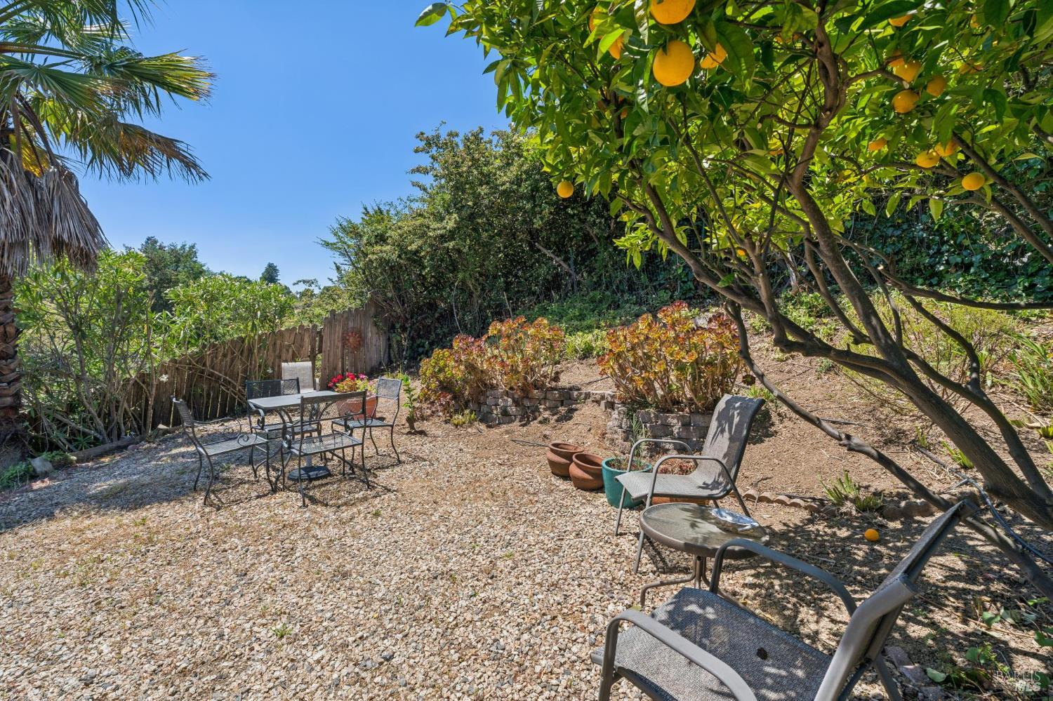 1 Bay Vista Court Mill Valley CA 94941
