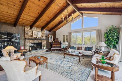 1 Bay Vista Court Mill Valley CA 94941