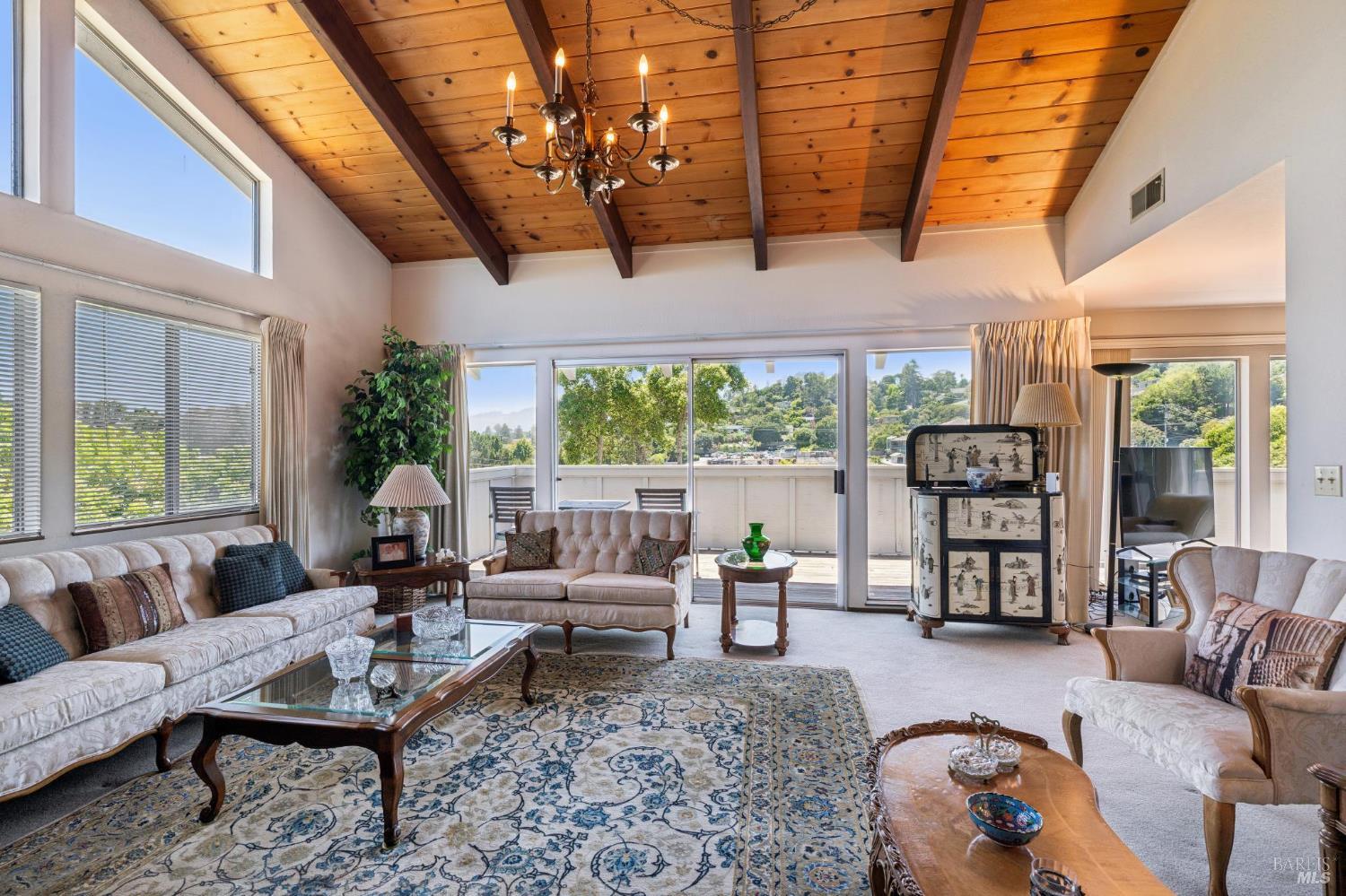 1 Bay Vista Court Mill Valley CA 94941