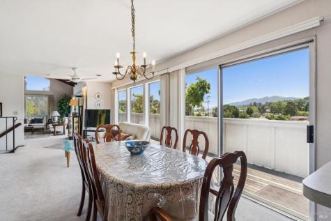 1 Bay Vista Court Mill Valley CA 94941