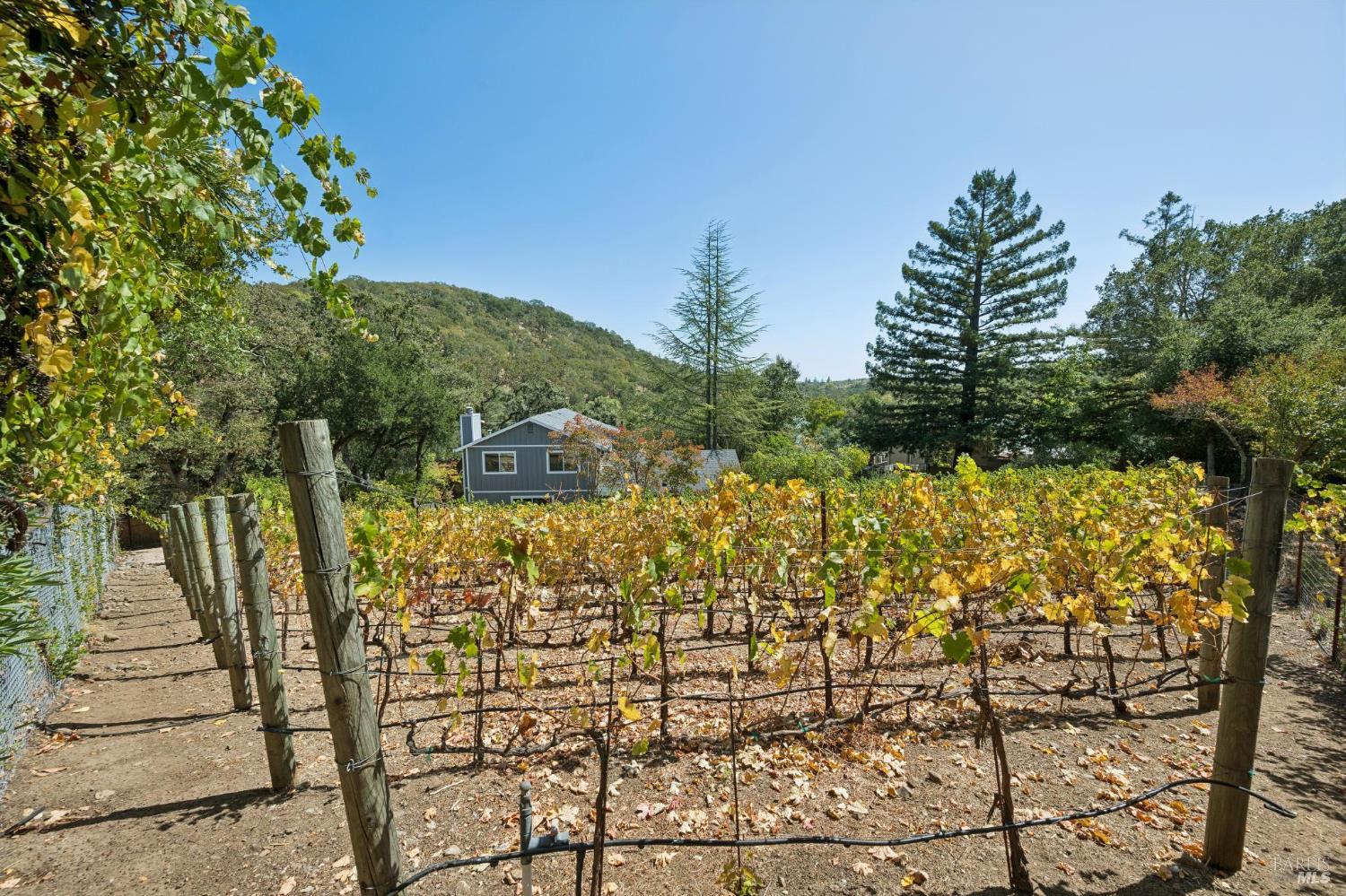 14072 Arnold Drive Glen Ellen CA 95442