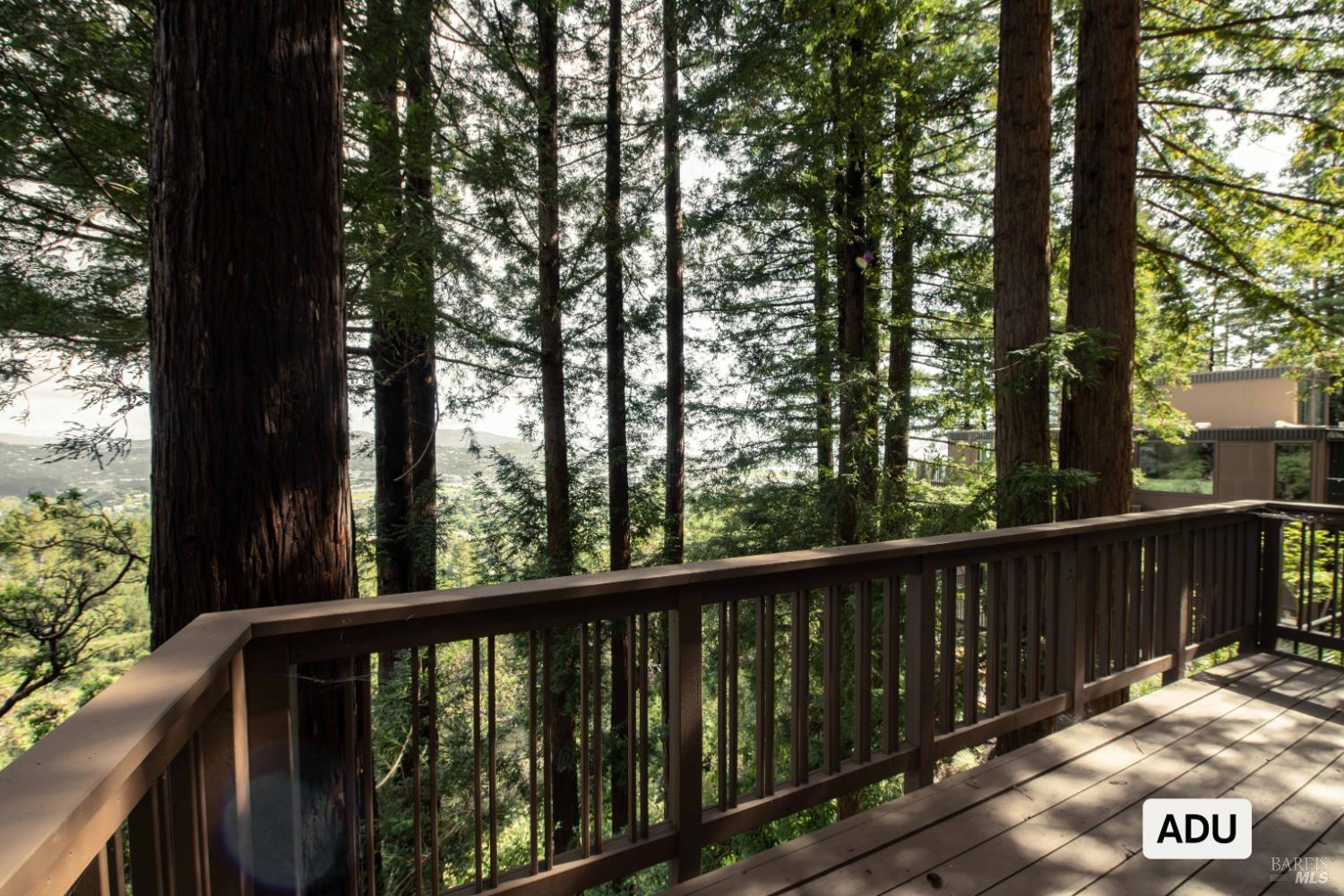238 Summit Drive Corte Madera CA 94925