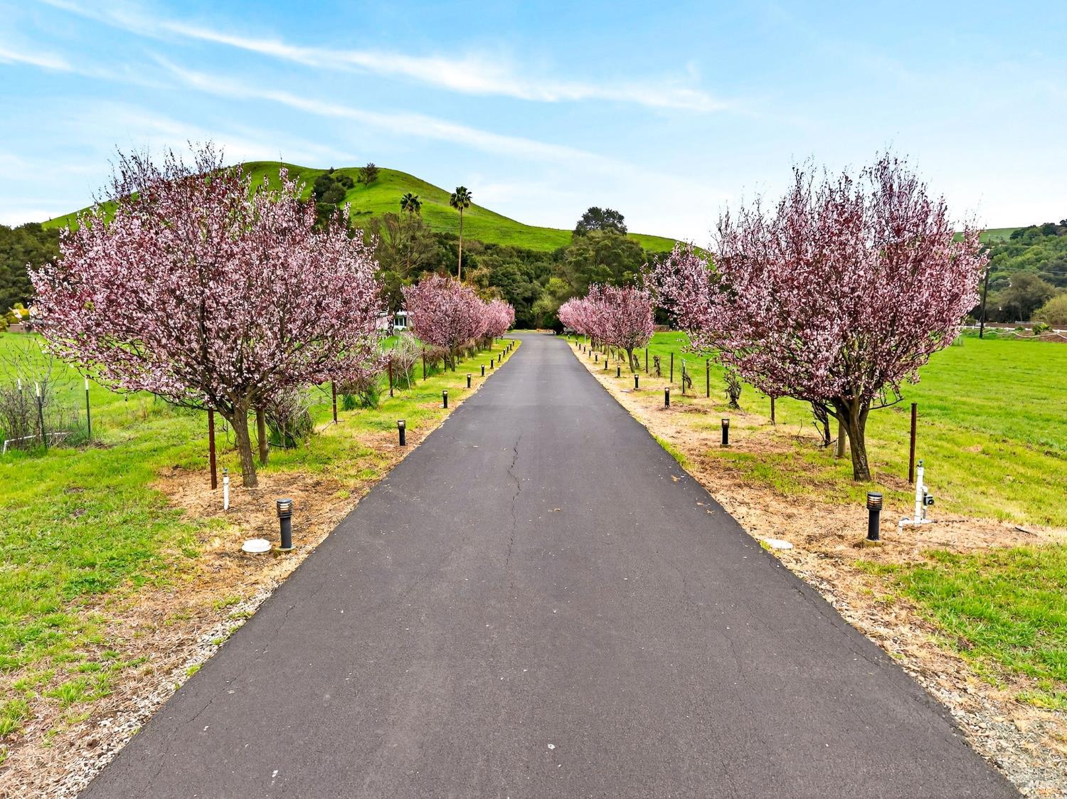 3534 Spurs Trail American Canyon CA 94503