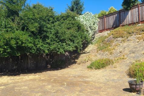 221 San Marin Drive Novato CA 94945