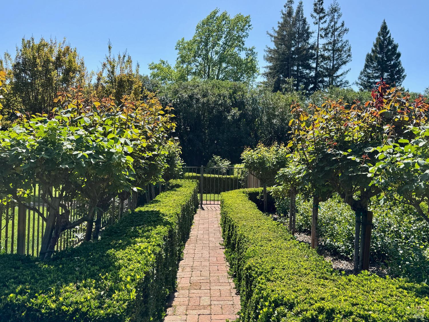 1701 Zinfandel Lane St. Helena CA 94574