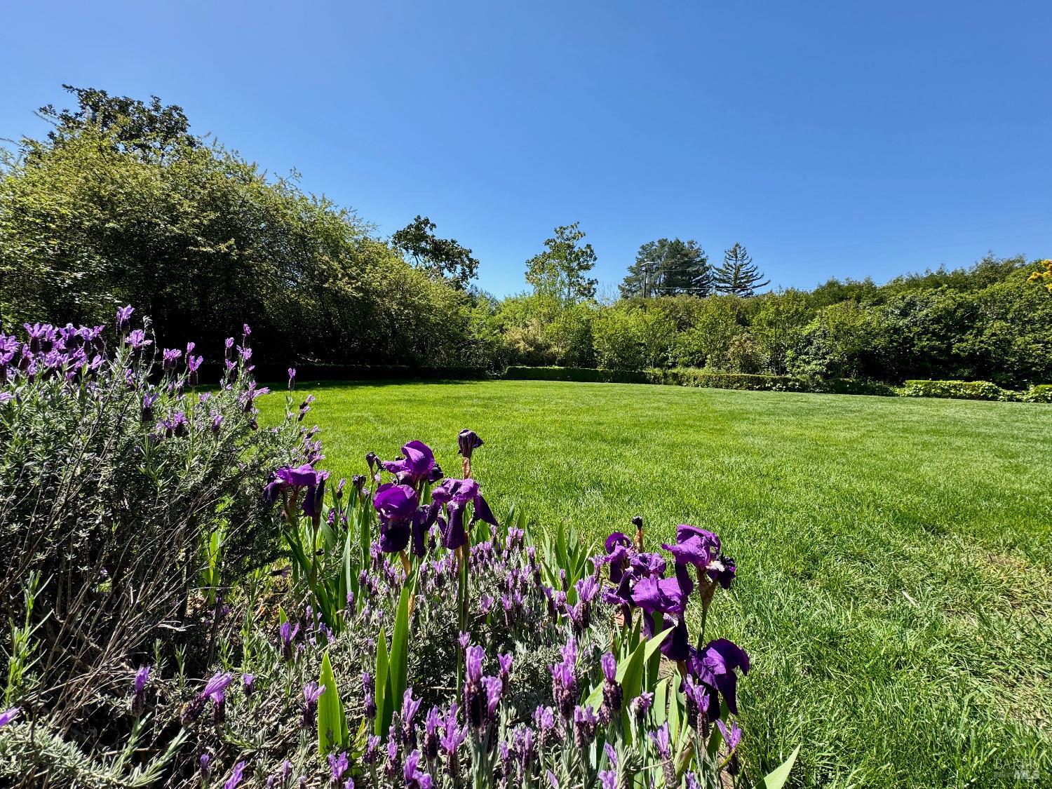 1701 Zinfandel Lane St. Helena CA 94574