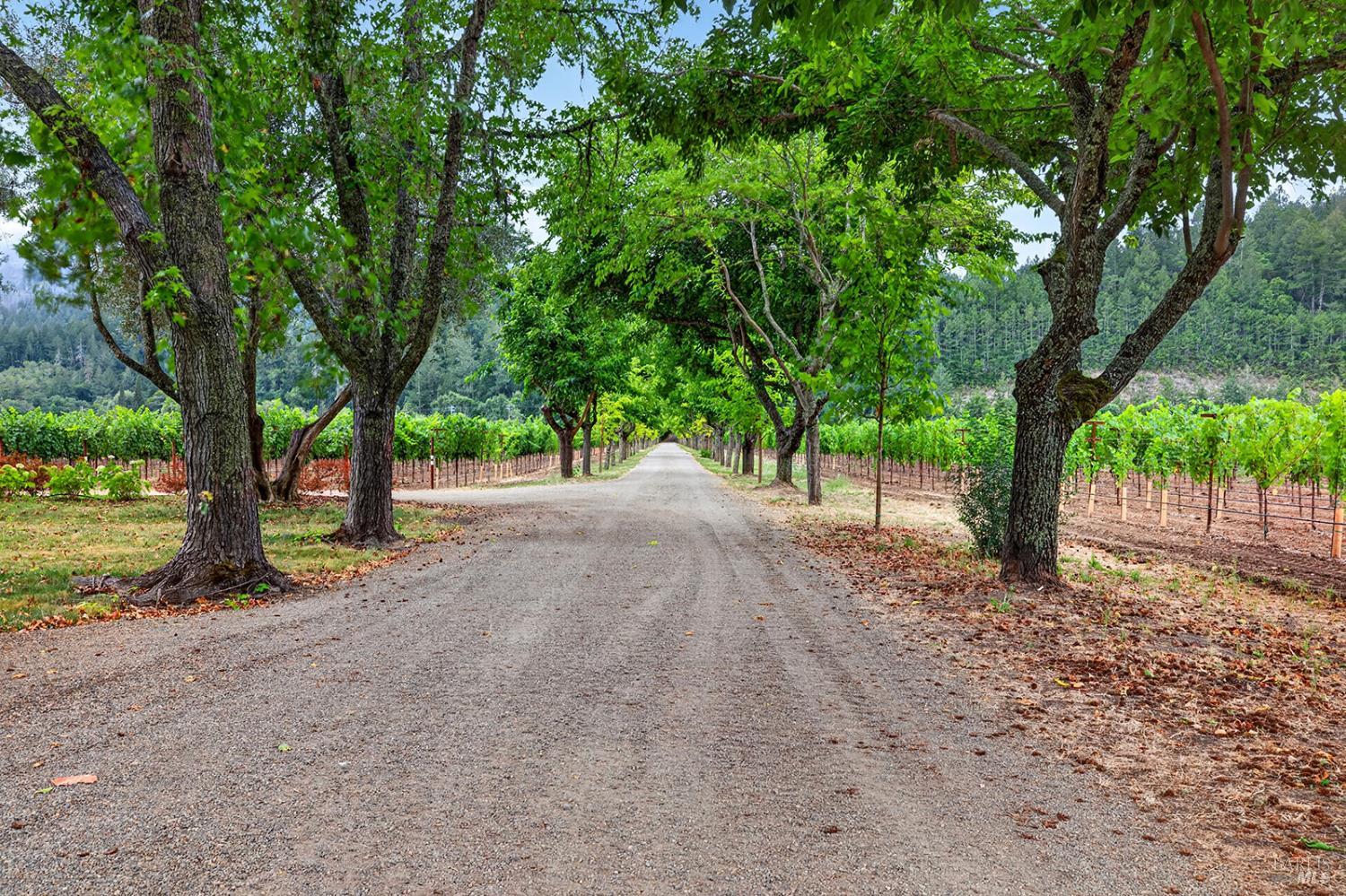 4560 Saint Helena Highway Calistoga CA 94515