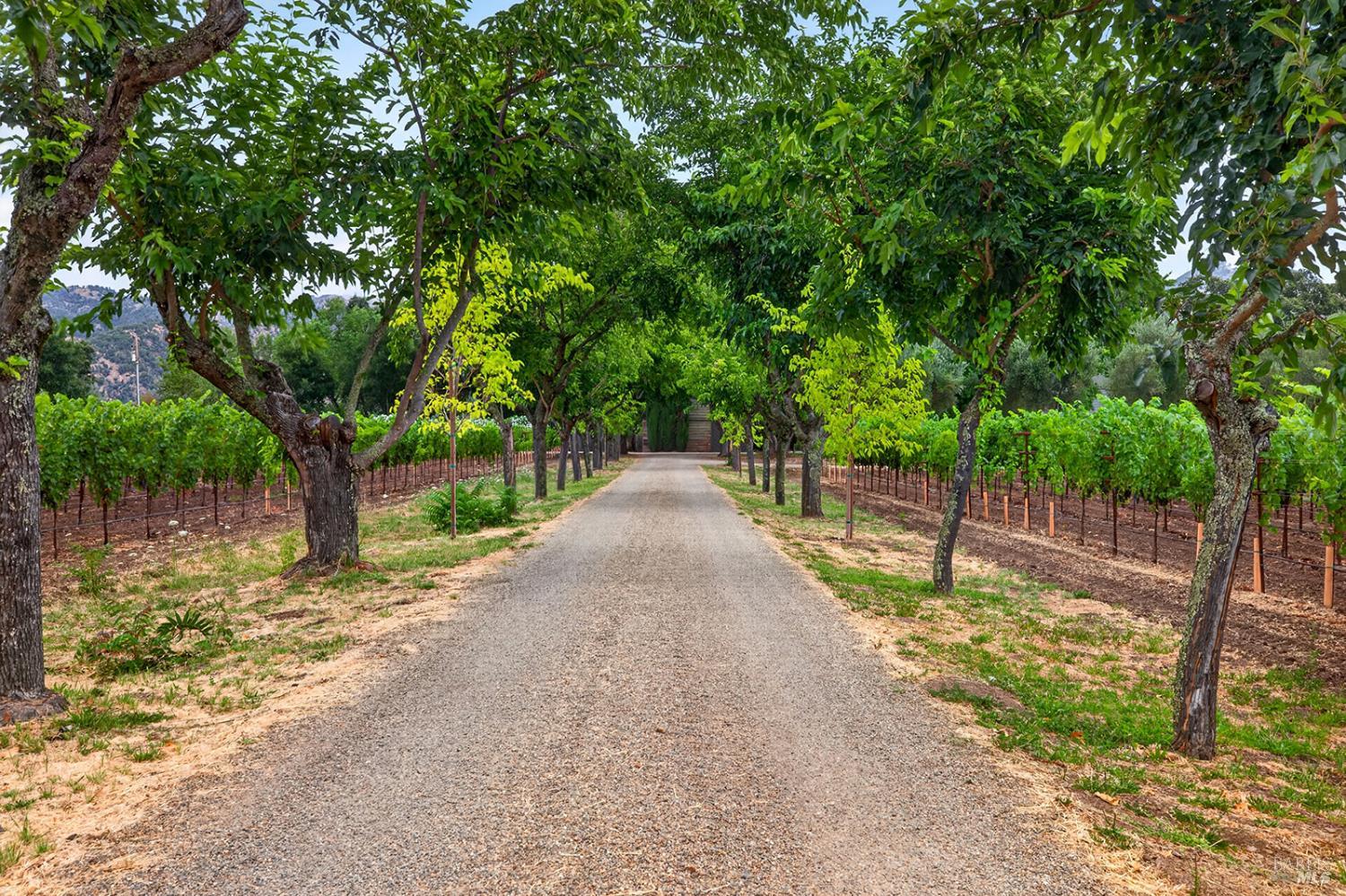 4560 Saint Helena Highway Calistoga CA 94515