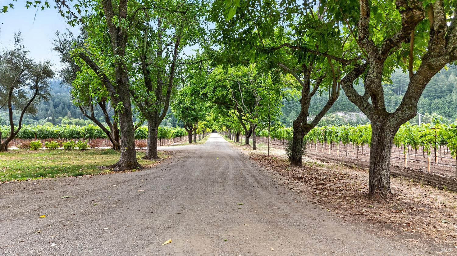 4560 Saint Helena Highway Calistoga CA 94515