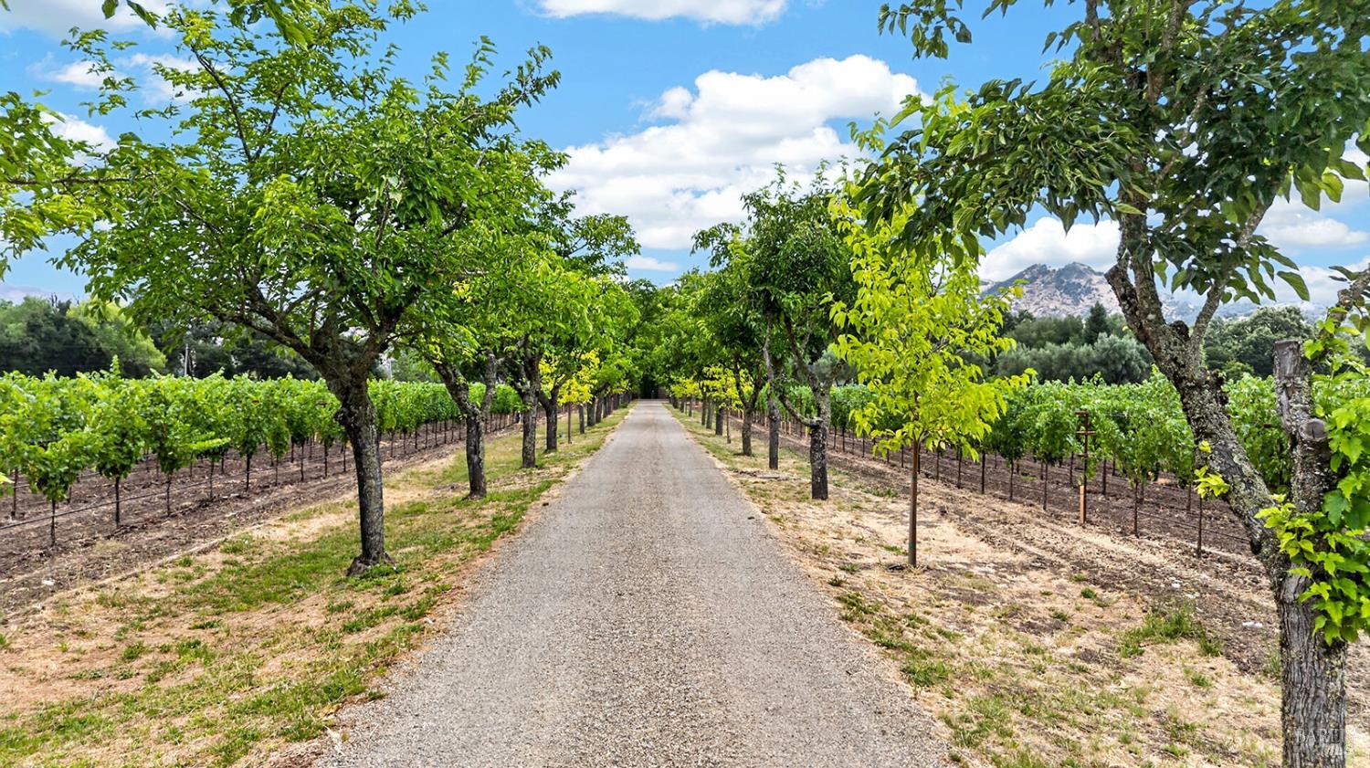 4560 Saint Helena Highway Calistoga CA 94515