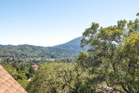 20 Vista Drive Kentfield CA 94904