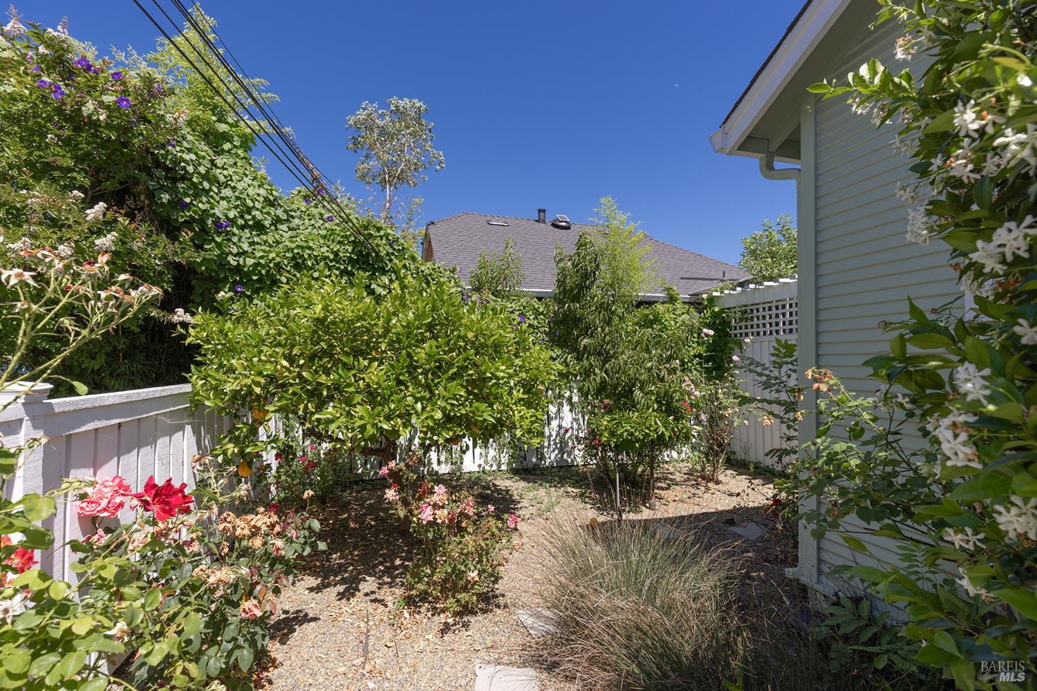 1317 C Street Napa CA 94559