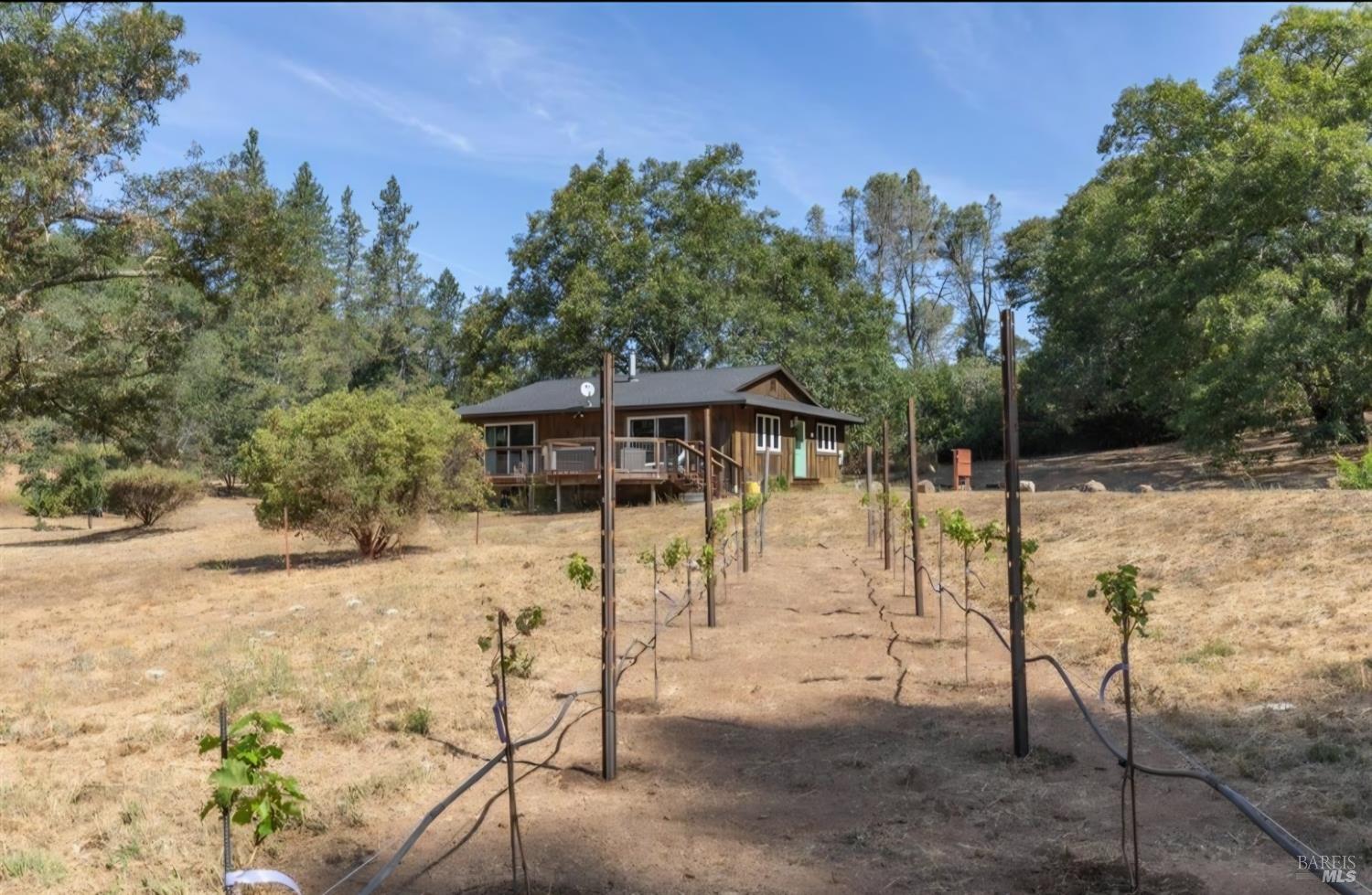 630 White Cottage Road N Angwin CA 94508