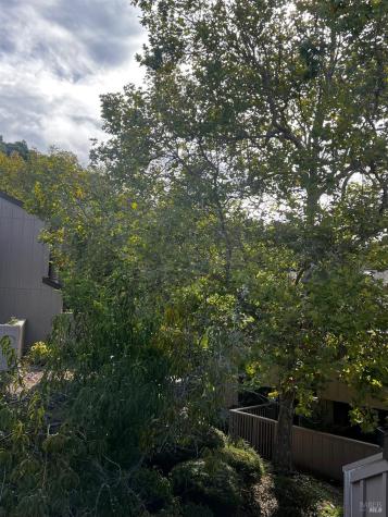 6 Josefa Court Novato CA 94949