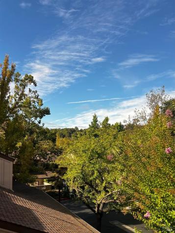 6 Josefa Court Novato CA 94949