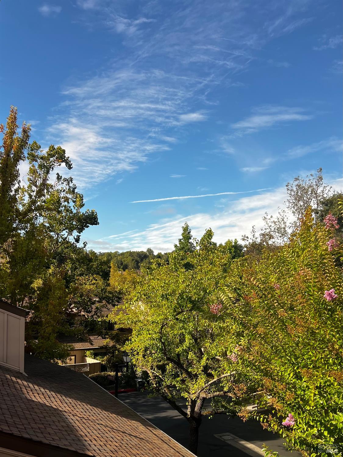 6 Josefa Court Novato CA 94949