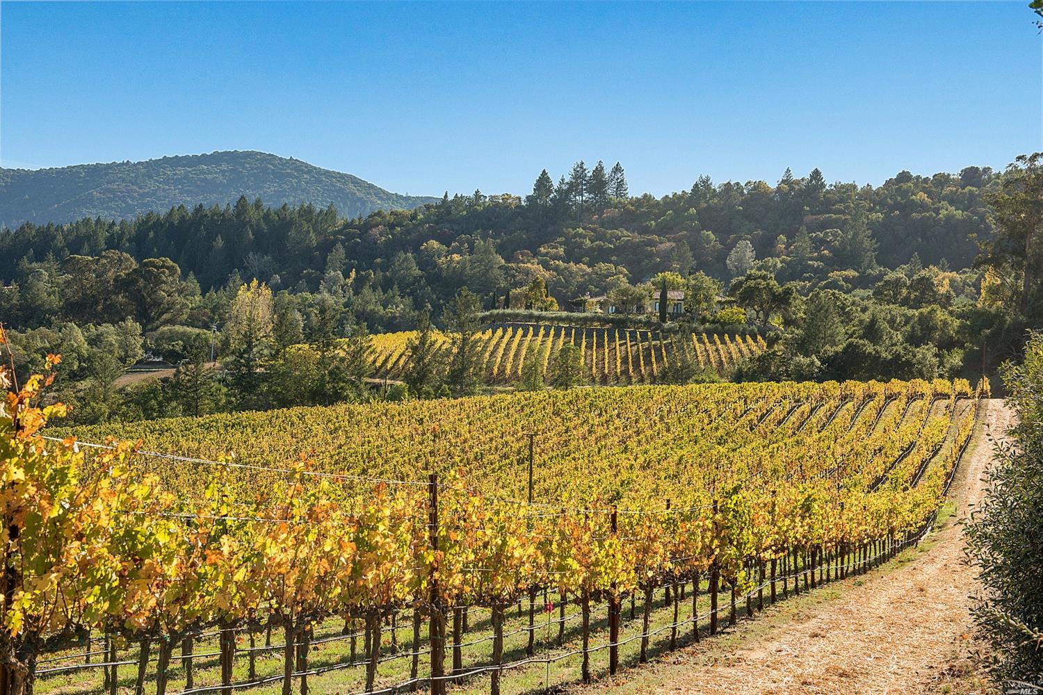 1780 Whitehall Lane St. Helena CA 94574